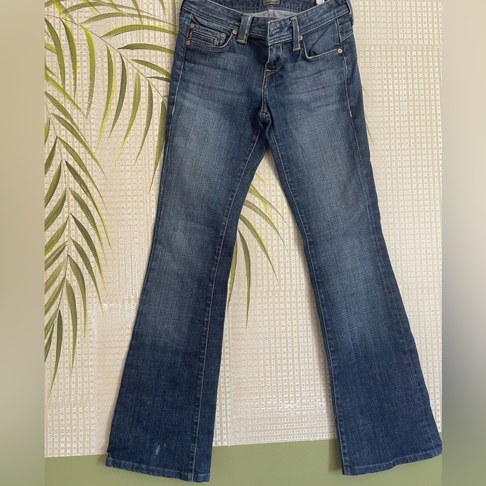 Kasil The Denim Garden by David Lim Wide Leg jeans Size 26